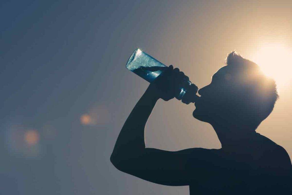 Will Alani Energy Drink Break a Fast? will alani energy drink break a fast