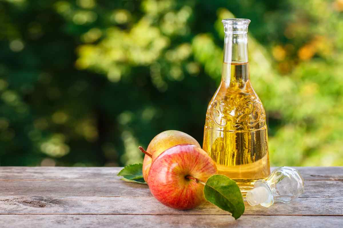 can i drink apple cider vinegar while pregnant